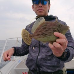 ブルースフィッシングサービス 釣果