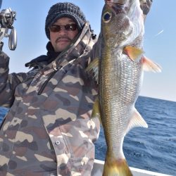 渡船屋たにぐち 釣果