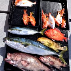 渡船屋たにぐち 釣果