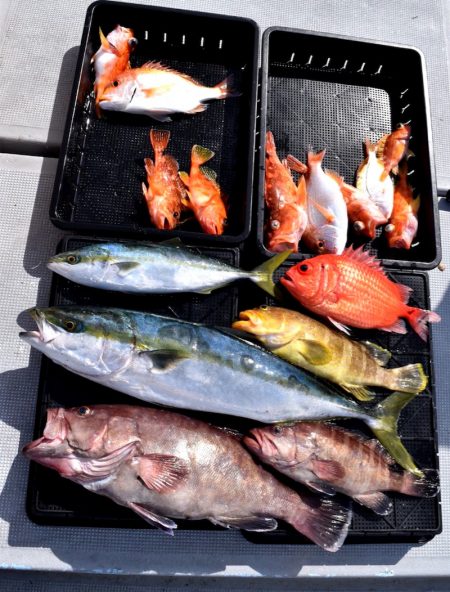 渡船屋たにぐち 釣果