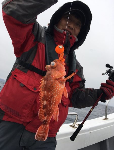 渡船屋たにぐち 釣果