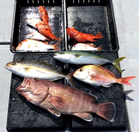 渡船屋たにぐち 釣果