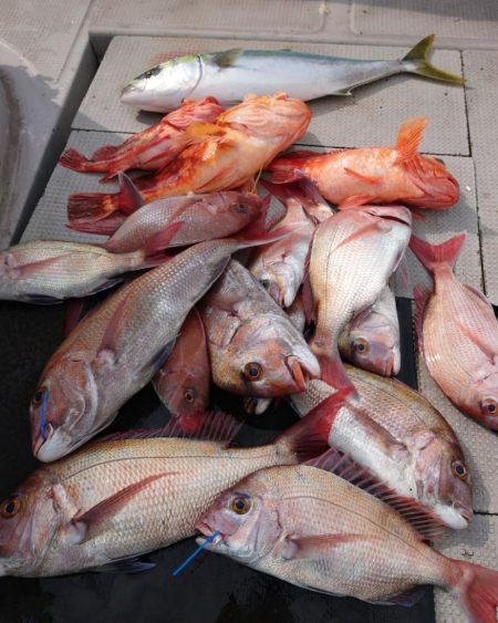 ブルースフィッシングサービス 釣果