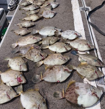 ブルースフィッシングサービス 釣果