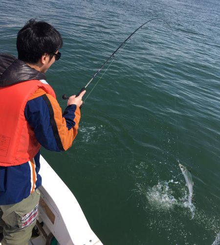 うさぎ丸 釣果