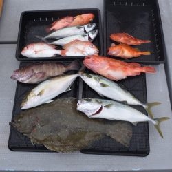 渡船屋たにぐち 釣果