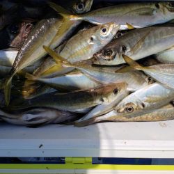 海龍丸（石川） 釣果