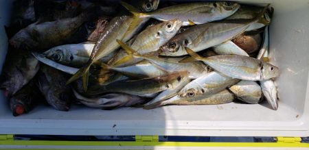海龍丸（石川） 釣果