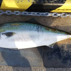 第二龍勢丸 釣果