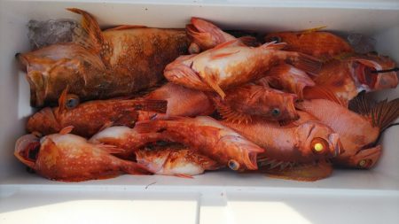 第二龍勢丸 釣果