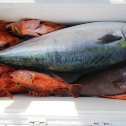 第二龍勢丸 釣果