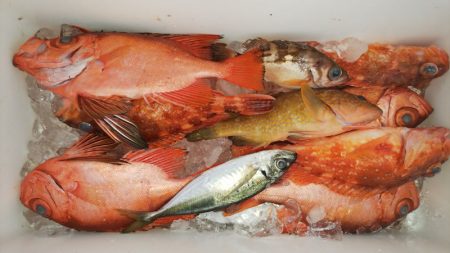 第二龍勢丸 釣果