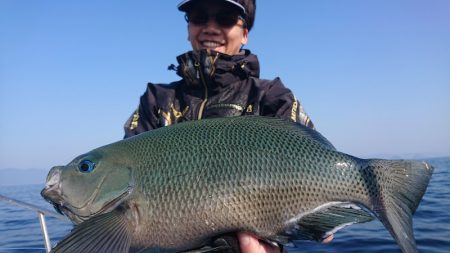 シースナイパー海龍 釣果