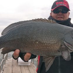 シースナイパー海龍 釣果