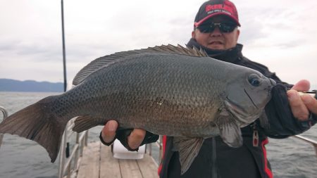 シースナイパー海龍 釣果