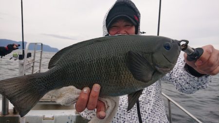 シースナイパー海龍 釣果