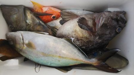 第二龍勢丸 釣果