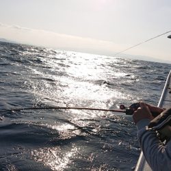 海皇丸 釣果