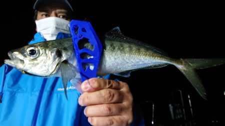 シースナイパー海龍 釣果