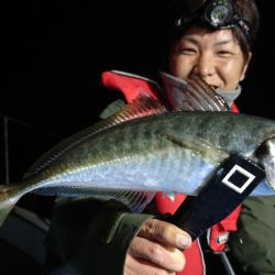 シースナイパー海龍 釣果