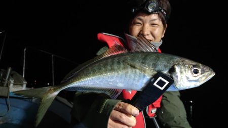 シースナイパー海龍 釣果