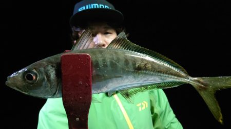 シースナイパー海龍 釣果