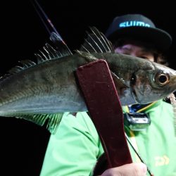 シースナイパー海龍 釣果