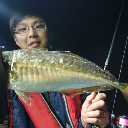 シースナイパー海龍 釣果
