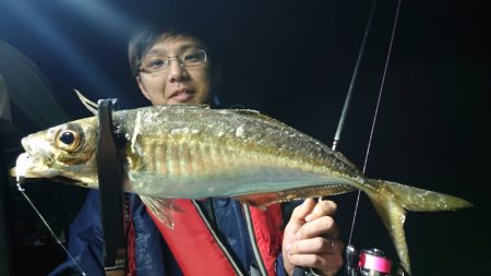 シースナイパー海龍 釣果