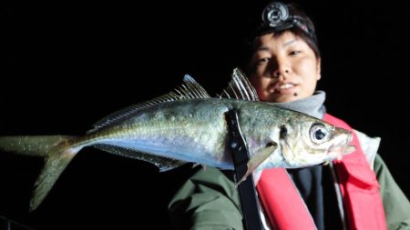 シースナイパー海龍 釣果