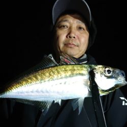 シースナイパー海龍 釣果