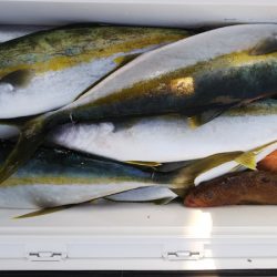 第二龍勢丸 釣果