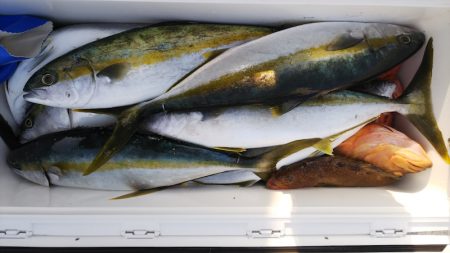 第二龍勢丸 釣果