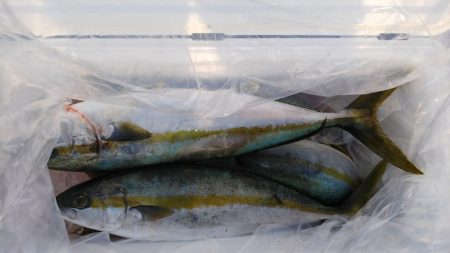 第二龍勢丸 釣果