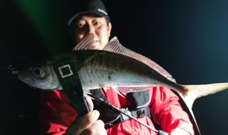 シースナイパー海龍 釣果