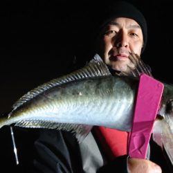 シースナイパー海龍 釣果