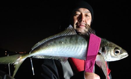 シースナイパー海龍 釣果