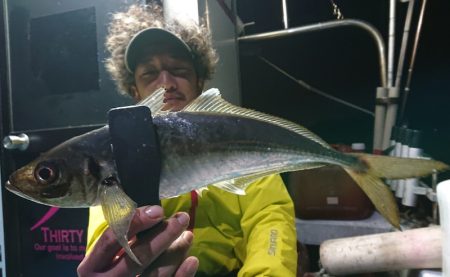 シースナイパー海龍 釣果