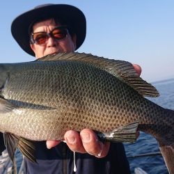 シースナイパー海龍 釣果