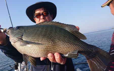 シースナイパー海龍 釣果
