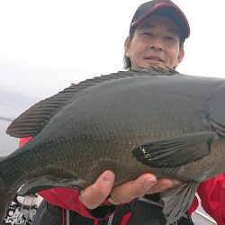 シースナイパー海龍 釣果