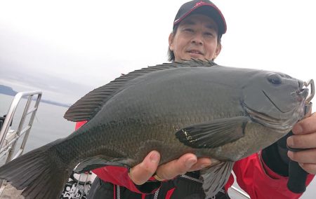 シースナイパー海龍 釣果