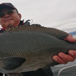 シースナイパー海龍 釣果