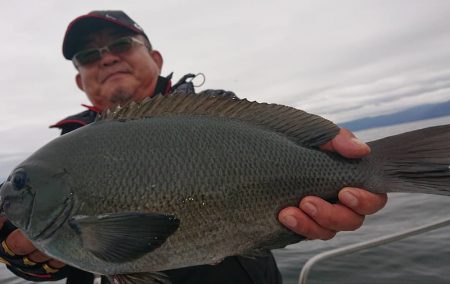 シースナイパー海龍 釣果