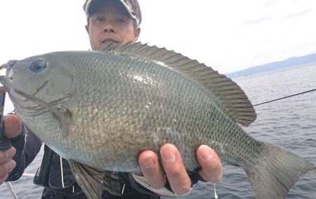 シースナイパー海龍 釣果