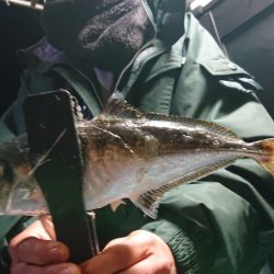 シースナイパー海龍 釣果