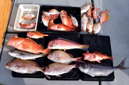 渡船屋たにぐち 釣果