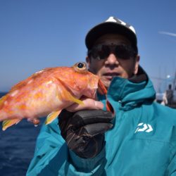 渡船屋たにぐち 釣果