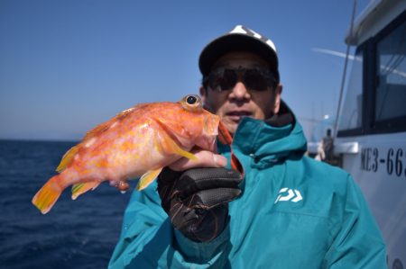 渡船屋たにぐち 釣果