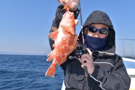 渡船屋たにぐち 釣果